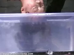 sexo en la porno p cámara